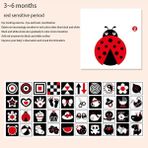 3-6 Ay Tarzı Montessori Bebek Duygu Öğrenme Kartı Karikatür Çocuklar Için Ingilizce Duygu Flash Kartları Komik Hafıza Egzersiz Oyunu (Yurt Dışından) - Renkli