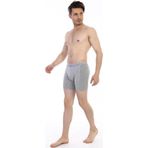 3 Adet Çift Kaplan Erkek Elastanlı Biyeli Boxer 855
