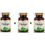3 Adet Ginkgo Biloba 600 mg 60+60+60 Tablet