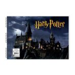 3 Adet Harry Potter 25X35 15 Yaprak Karton Kapak Spiralli Resim Defteri