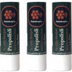 (3 Adet) Propolis, Bal, Shea, Hindistan Cevizi ve Zeytinyağı El Yapımı Dudak Kremi Nemlendirici Onar - Standart