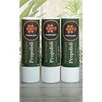 (3 Adet) Propolis, Bal, Shea, Hindistan Cevizi ve Zeytinyağı El Yapımı Dudak Kremi Nemlendirici Onarıcı