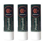 (3 Adet) Propolis, Bal, Shea, Hindistan Cevizi Zeytinyağı El Yapımı Dudak Kremi Nemlendirici Onarıcı
