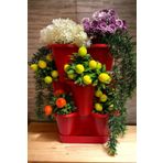 3 Katlı Şanslı Yonca Tasarımlı Dekoratif Saksı Seti, 26.5 x 26.5 cm, Çiçek ve Bitki Sebze Yetiştirme, Bahçe Salon Mutfak Saksı Seti (Kırmızı)