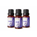 3 lü Avantajlı Set Lofty Lavanta Saf Uçucu Yağ (10ml) -%100 Doğal Esansiyel Yağ | Uyku, Rahatlama ve Aromaterapi İçin Buhurdanlık ve Difüzör Yağı