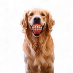 3 Pagen Köpek oyuncağı, 2'li set, köpek için çiğneme oyuncağı, 2 adet, dişler ve gıcırdama fonksiyonlu eğlenceli evcil hayvan oyuncağı, atmak ve almak için gülümseme topu, hareketi ve çiğneme