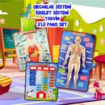 3 Set -106 Parça Tox İç Organlar , İskelet Sistemi ve Takvimi Öğreniyorum Keçe Cırtlı Duvar Panoları , Eğitici Oyuncak