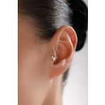 3 Yapraklı Taşlı Çiçek Tragus Küpe