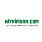 3 Yaş Aşılı Baston gül Fidanı-Kırmızı Renk