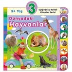 3+ Yaş Dünyadaki Hayvanlar - Sürprizli ve Renkli Kitaplar Serisi - 0-6 Yaş Yayınları