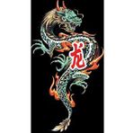 30 cm Ejderha Folyo Sticker