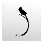 30 cm Hint Bülbülü Folyo Sticker