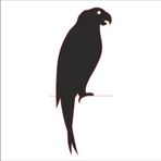 30 cm Papağan Folyo Sticker