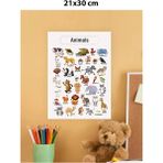 30X42 cm Hayvanlar Ingilizce Çocuk Eğitim Pvc Poster, Eğlenceli ve Öğretici Dekorasyon - Antrasit - Seçenek 1