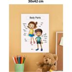 30X42 cm Ingilizce Çocuk Vücut Bölümleri Posteri, Eğitici ve Renkli Pvc Şekil Tablosu - Antrasit - Seçenek 1