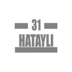 31 Hataylı Araba Sticker 17X17 Cm Gri