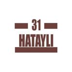 31 Hataylı Araba Sticker 17X17 Cm Kahverengi