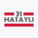 31 Hataylı Plaka Araba Sticker Yapıştırması