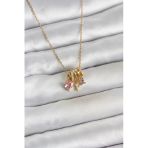 316L Çelik Gold Pembe Zirkon Taşlı Charmlı Kadın Kolye