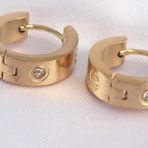 316L Çelik Gold Renk Zirkon Taşlı Minimal Cartier Model Halka Küpe - EBJ240613W24954