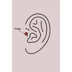 316L Çelik Gümüş Renk Zirkon Taş Detay Kanat Model Tragus Piercing -1492