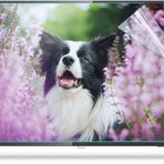 32-75 inç Ekran için Mat Tv Ekran Koruyucu Film, Parlama Önleyici ve Mavi Işık Filtresi, Tv, Bilgisayar, Monitörler için Göz Koruma Filmi, 70 inç (1538 x 869 mm)