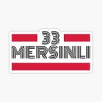 33 MErsinli Plaka Araba Sticker Yapıştırması