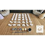 35 Adet (3d) Hayvanlar Alemi Taş Boyama Figür Çocuk Gelişimi Boyama Etkinlik Seti Zoo Stone Painting - Beyaz