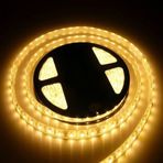 3528 Şerit Led 12v 72w 6a 10mm 60 Led Ip20 Şerit Led Tek Çip Silikonlu Günışığı 5 Metre Şerit Led