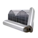 36 AYLIK 350 MİCRON SERA NAYLONU 12m X 18m