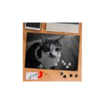 3682 Siyah Beyaz Lekeli Kedi 240 Parça Puzzle Yapboz Tablo