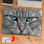 3738 Mavi Gözlü Güzellik Kedi 240 Parça Puzzle Yapboz Tablo