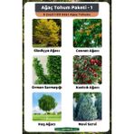 3A Botanik Ağaç Tohum Paketi-1, (Gladiçya, Cennet, Orman Sarmaşığı, Kızılcık, Huş, Mavi Servi) Ağaç Tohumları - 120 Adet