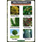 3A Botanik Ağaç Tohum Paketi-1, (Gladiçya, Cennet, Orman Sarmaşığı, Kızılcık, Huş, Mavi Servi) Ağaç Tohumları