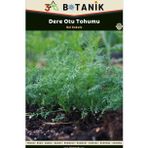 3A Botanik Dereotu Tohumu, Geleneksel Çeşit, 3 Gram/1.000-1.500 Adet Tohum