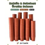 3A Botanik Kaktüs - Sukulent - Bitki Üretim Saksısı, 5,5 Cm, 100 Adet