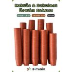 3A Botanik Kaktüs - Sukulent - Bitki Üretim Saksısı, 5,5 Cm, 50 Adet