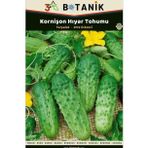 3A Botanik Kornişon Salatalık (Hıyar) Tohumu, Turşuluk Salatalık Çeşidi, 2 Gram/60-100 Adettohum