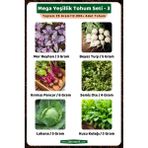 3A Botanik Mega Yeşillik Tohum Seti - 3, Toplam 25 GRAM/12.000 Adet Yeşillik Tohumu