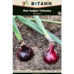3A Botanik Mor Soğan Tohumu, Verimi Yüksek Çeşit, 2 Gram/500-700 Adet Tohum