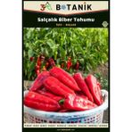 3A Botanik Salçalık Biber Tohumu, Yerli ve Sürdürülebilir Tohum, 5 Gram Biber Tohum