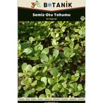 3A Botanik Semizotu Tohumu, Iri Yapraklı Etli Çeşit, 2 Gram/4.000-5.000 Adet Tohum