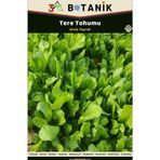 3A Botanik Tere Tohumu, Yaprakları Geniş Aromatik Çeşit, 4 Gram/2.000-2.500 Adet Tohum