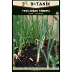 3A Botanik Yeşil Taze Soğan Tohumu, Yerli ve Sürdürülebilir Tohum, 5 Gram Soğan Tohumu