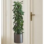 3b Trend 90 30 Cm Bitki Tasarım Duvar Sticker Bitki Saksı Desen Duvar Çıkartması Duvar Dekorasyonu Çok Renkli