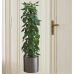 3B Trend 90 * 30 cm Bitki Tasarım Duvar Sticker Bitki Saksı Desen Duvar Çıkartması Duvar Dekorasyonu