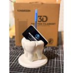 3D Baskı Zamanı 3D Baskı Diş Hekimi Masa Üstü Organizer | Klinik Dekoru & Kalemlik - 1 Adet