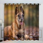 3D Belçika Çoban Köpeği Perdeleri, 150 x 166 cm, Mikrofiber, Gromet Karartma Perdeleri, Oturma Odası, Yatak Odası, Çocuk Odası, Mutfak, Şık Evcil Hayvan Dekoru için 2 Adet