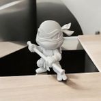 3D Boyama Seti Danatello Ninja
