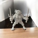 3D Boyama Seti Raphael Ninja